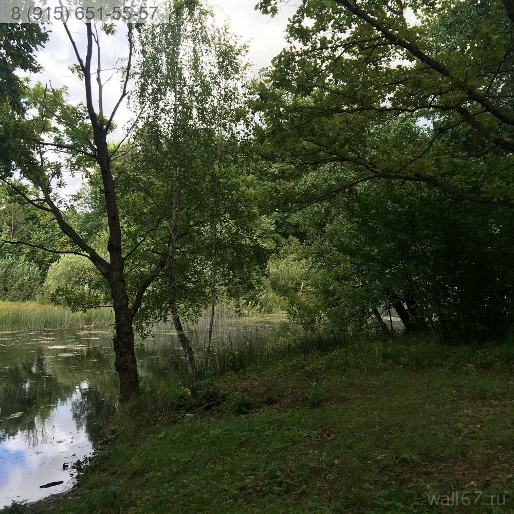 прогноз погоды стодолище смоленской. станция стодолище смоленская область. прогноз погоды стодолище смоленской. прогноз погоды стодолище смоленской. вокзал стодолище.